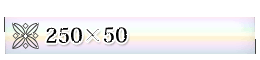 250×50
