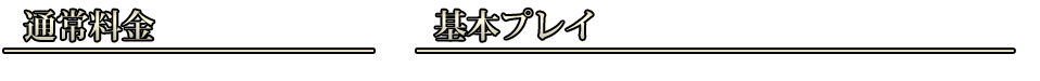 通常料金・オプション料金