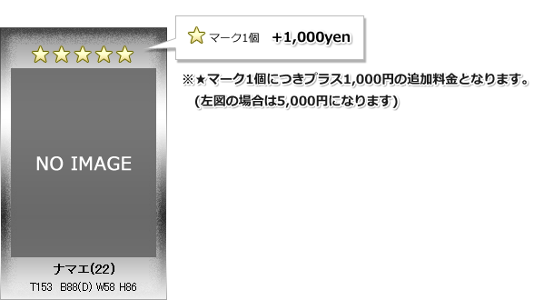 ★マーク１個につきプラス1,000円の追加料金となります。